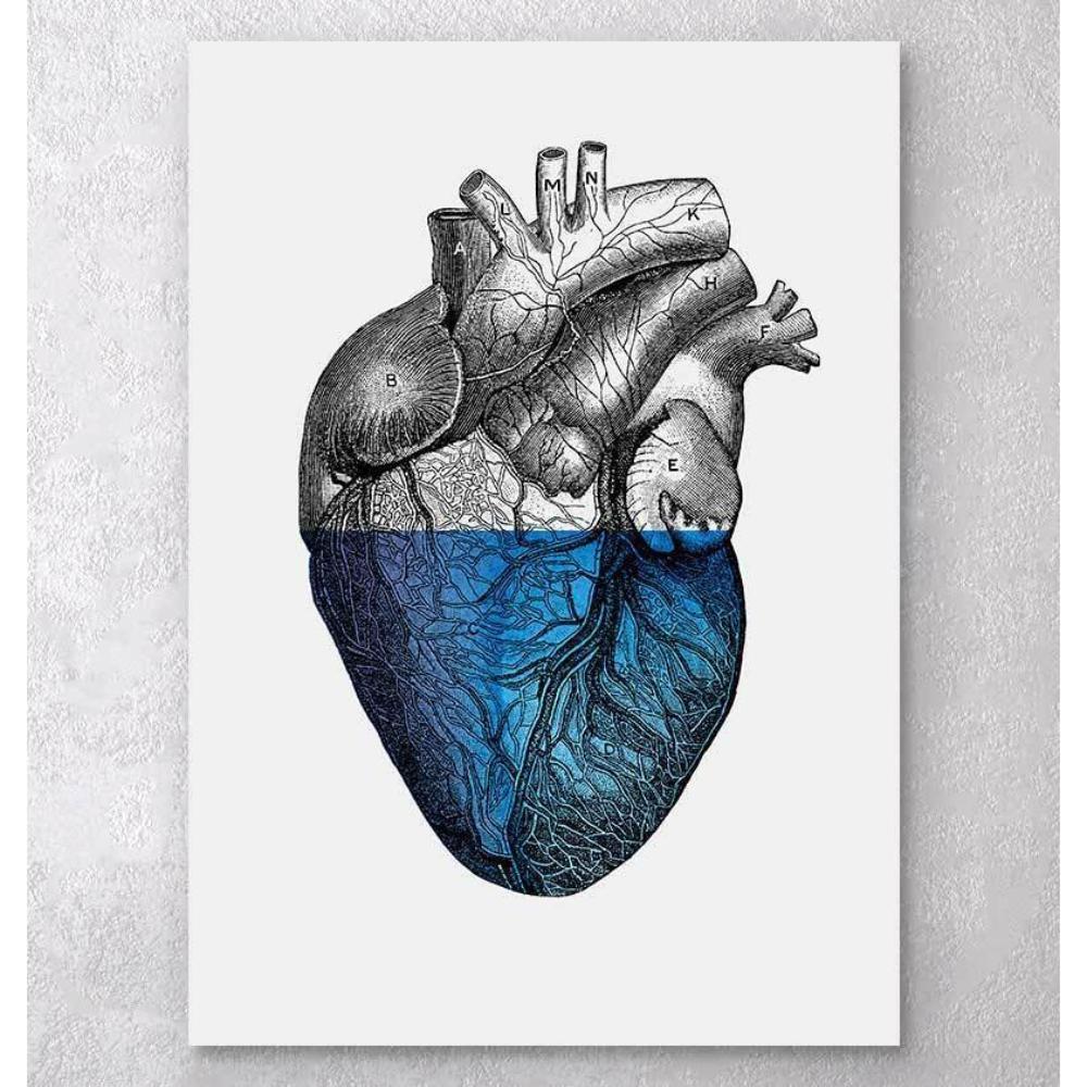 Colorful Heart Blue